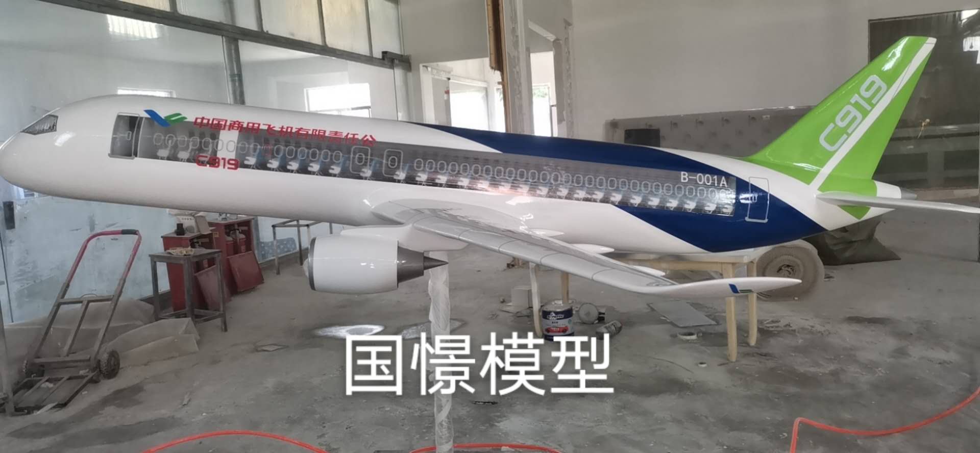 平阳县飞机模型