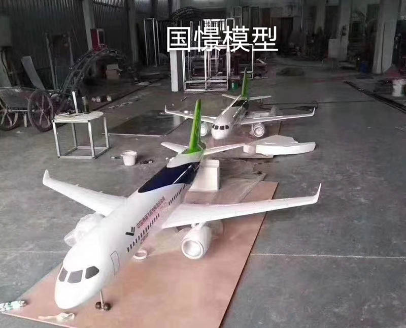 平阳县飞机模型