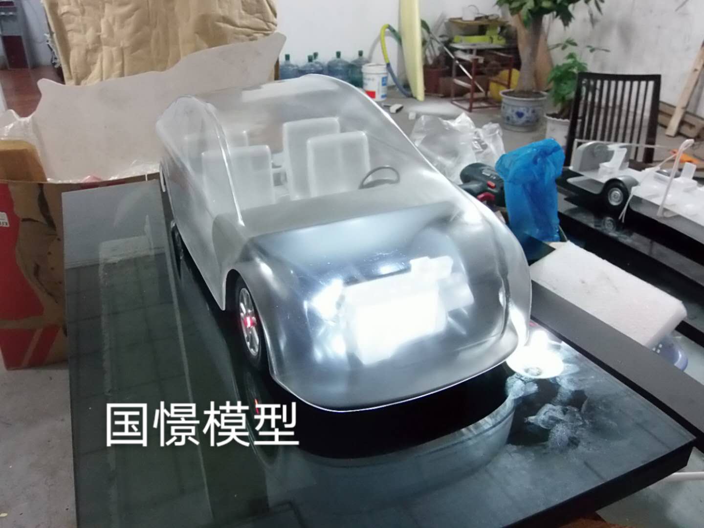 平阳县透明车模型